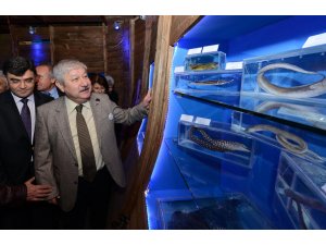 В Анталье открыт первый турецкий Музей морских обитателей 