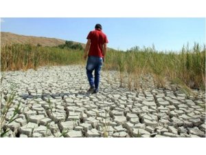 В турецких провинциях изнывают без воды