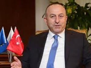 Турция не будет участвовать в наземной операции против боевиков ИГ