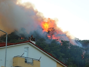 В Мармарисе большой лесной пожар