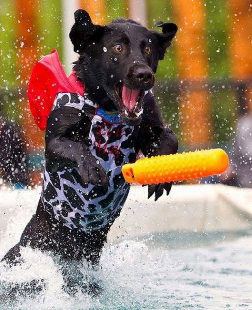 Это не кадры из фильма! 