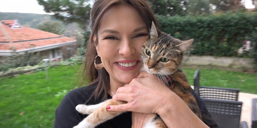 «Королек-птичка певчая»