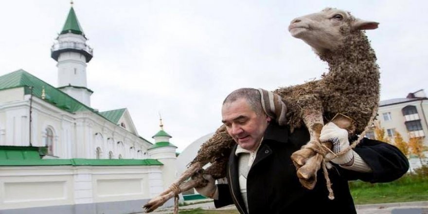 Как отмечают курбан байрам в Турции?