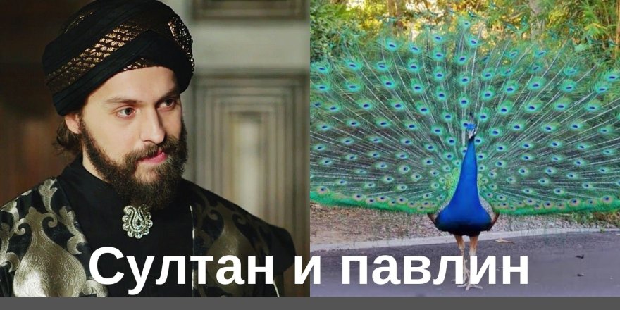 Интересная и поучительная история жизни