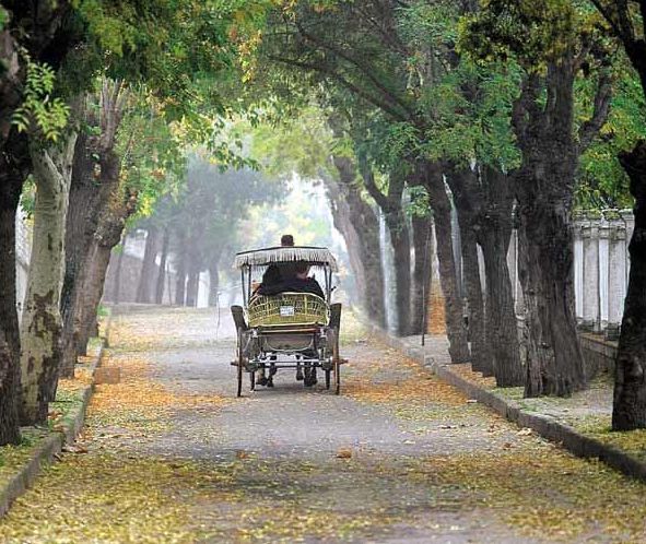 Принцевы острова (Adalar) близ Стамбула