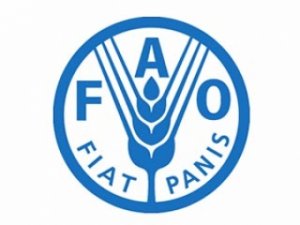 Турция была принята в ООН FAO