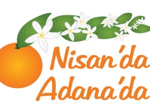 Апельсиновый карнавал пройдет в Адане