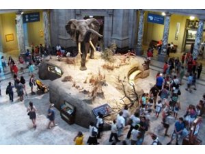Музей природы  откроют в Анталье