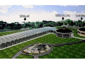 В Ялове открыт первый ботанический сад геофитов