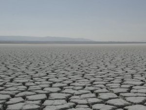 Резко сокращается площадь водоемов и количество видов живых организмов