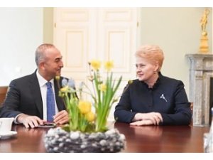 Укрепление сотрудничества Турции и Литвы