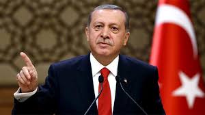 Эрдоган заявил о желании продавать в Россию помидоры и виноград за турецкие лиры