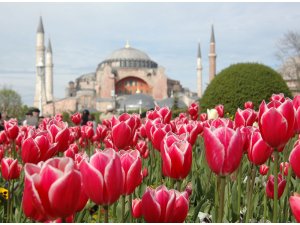 Успейте на Фестиваль тюльпанов в Стамбуле!