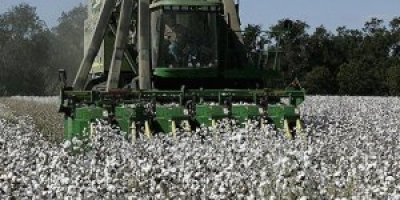 Хлопковая продукция Туркменистана и мировой рынок