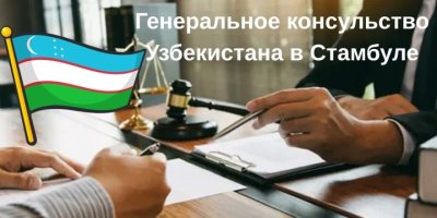 В Стамбуле гражданам Узбекистана бесплатно помогут разобраться в юридических вопросах