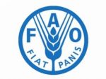 Турция была принята в ООН FAO