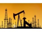 В 2013 году Турция добыла 2,4 млн. тонн нефти и 555 млн. кубов газа