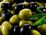Турецкие ученые советуют есть оливки