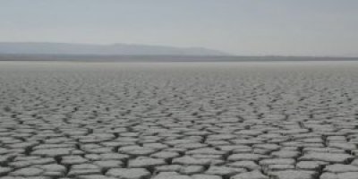 Резко сокращается площадь водоемов и количество видов живых организмов