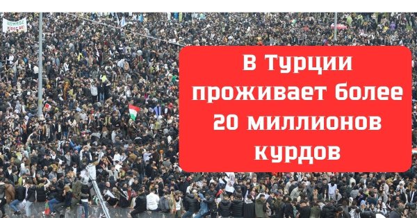 v-turcii-prozhivaet-bolee-20-millionov-kurdov.jpg